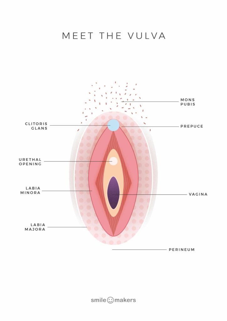 Pics vulva Innie vs.